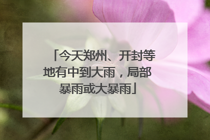 今天郑州、开封等地有中到大雨，局部暴雨或大暴雨