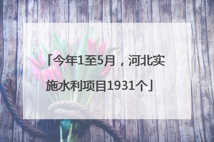 今年1至5月，河北实施水利项目1931个