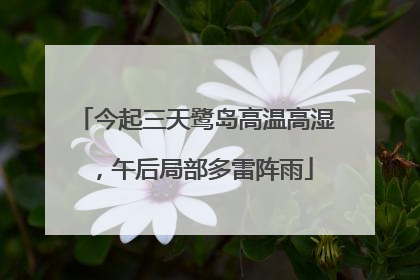 今起三天鹭岛高温高湿，午后局部多雷阵雨