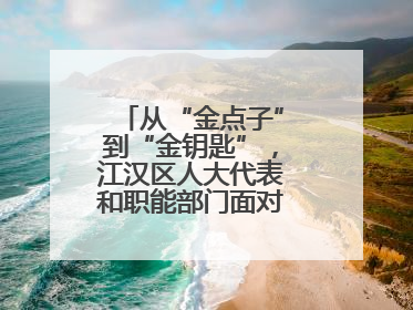 从“金点子”到“金钥匙”，江汉区人大代表和职能部门面对面解企业难题