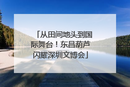 从田间地头到国际舞台！东昌葫芦闪耀深圳文博会