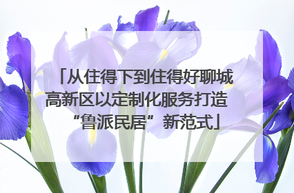 从住得下到住得好聊城高新区以定制化服务打造“鲁派民居”新范式