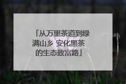 从万里茶道到绿满山乡 安化黑茶的生态致富路