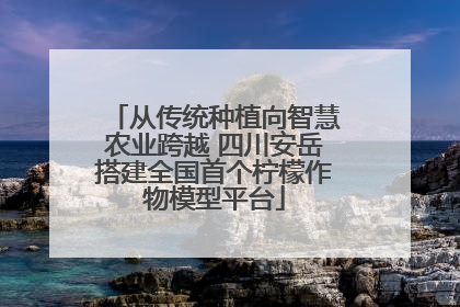 从传统种植向智慧农业跨越 四川安岳搭建全国首个柠檬作物模型平台