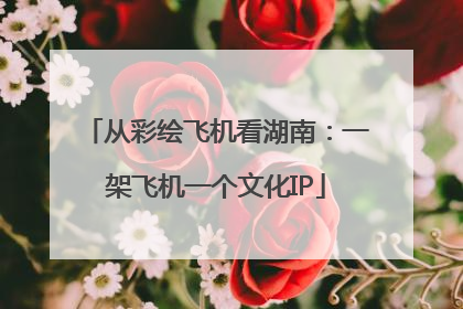 从彩绘飞机看湖南：一架飞机一个文化IP
