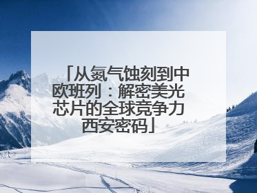 从氮气蚀刻到中欧班列：解密美光芯片的全球竞争力西安密码
