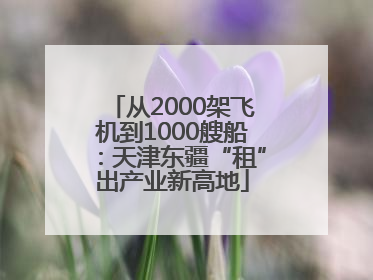从2000架飞机到1000艘船：天津东疆“租”出产业新高地