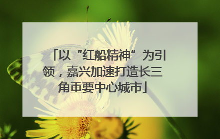 以“红船精神”为引领，嘉兴加速打造长三角重要中心城市