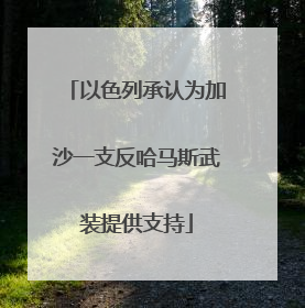 以色列承认为加沙一支反哈马斯武装提供支持