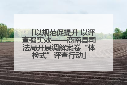 以规范促提升 以评查强实效——商南县司法局开展调解案卷“体检式”评查行动