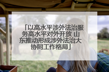 以高水平涉外法治服务高水平对外开放 山东推动形成涉外法治大协同工作格局