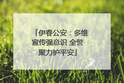 伊春公安：多维宣传强意识 全警聚力护平安