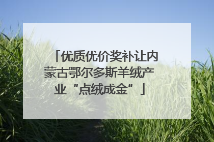优质优价奖补让内蒙古鄂尔多斯羊绒产业“点绒成金”