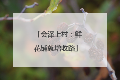 会泽上村：鲜花铺就增收路