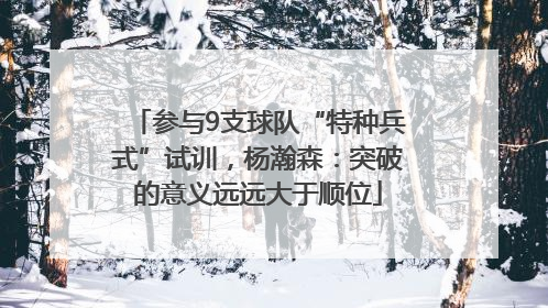 参与9支球队“特种兵式”试训，杨瀚森：突破的意义远远大于顺位