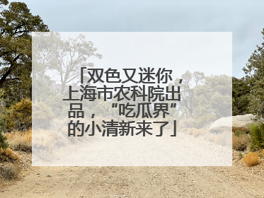 双色又迷你，上海市农科院出品，“吃瓜界”的小清新来了