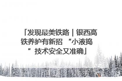 发现最美铁路｜银西高铁养护有新招 “小液捣”技术安全又准确