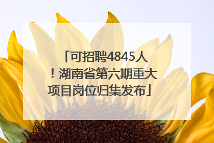 可招聘4845人！湖南省第六期重大项目岗位归集发布