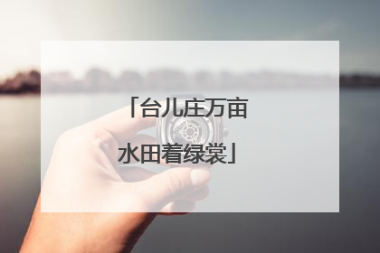 台儿庄万亩水田着绿裳