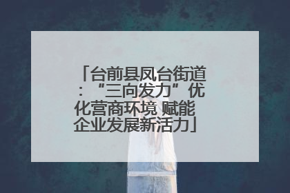 台前县凤台街道：“三向发力”优化营商环境 赋能企业发展新活力