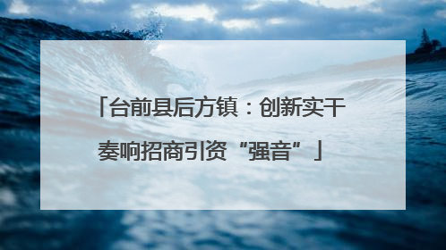 台前县后方镇：创新实干奏响招商引资“强音”