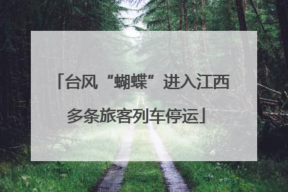 台风“蝴蝶”进入江西 多条旅客列车停运