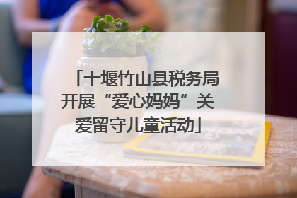 十堰竹山县税务局开展“爱心妈妈”关爱留守儿童活动