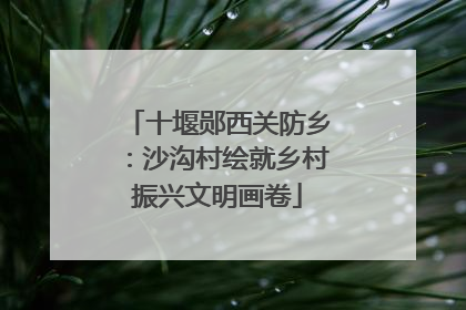 十堰郧西关防乡：沙沟村绘就乡村振兴文明画卷