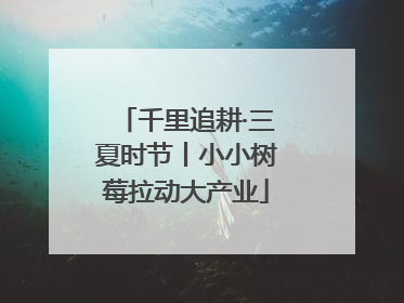 千里追耕·三夏时节丨小小树莓拉动大产业