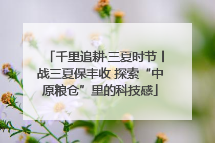 千里追耕·三夏时节丨战三夏保丰收 探索“中原粮仓”里的科技感