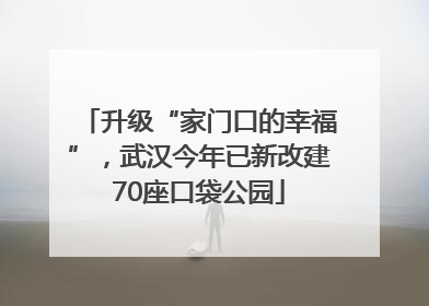 升级“家门口的幸福”，武汉今年已新改建70座口袋公园