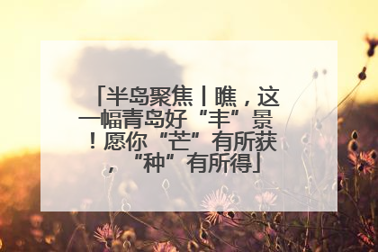半岛聚焦丨瞧，这一幅青岛好“丰”景！愿你“芒”有所获，“种”有所得