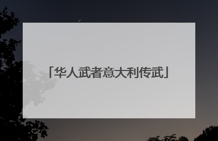 华人武者意大利传武