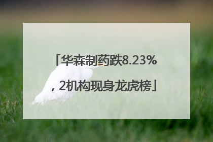 华森制药跌8.23%，2机构现身龙虎榜