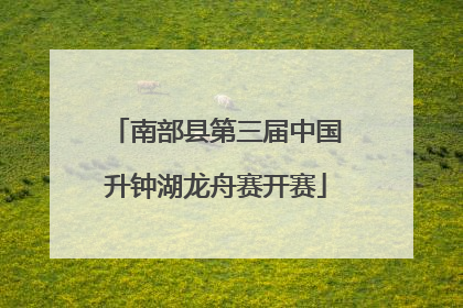 南部县第三届中国升钟湖龙舟赛开赛