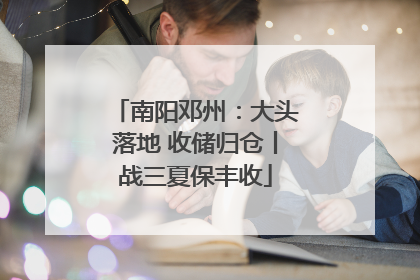 南阳邓州：大头落地 收储归仓丨战三夏保丰收