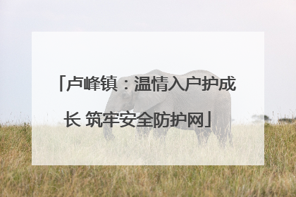 卢峰镇：温情入户护成长 筑牢安全防护网