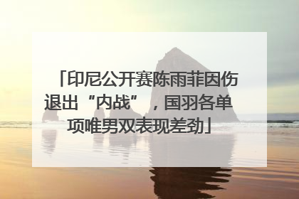 印尼公开赛陈雨菲因伤退出“内战”，国羽各单项唯男双表现差劲