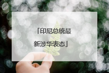 印尼总统最新涉华表态
