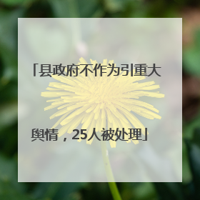 县政府不作为引重大舆情，25人被处理