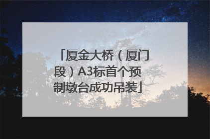 厦金大桥（厦门段）A3标首个预制墩台成功吊装