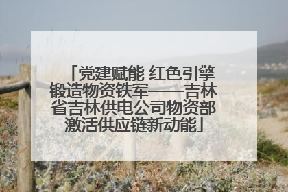 党建赋能 红色引擎锻造物资铁军——吉林省吉林供电公司物资部激活供应链新动能