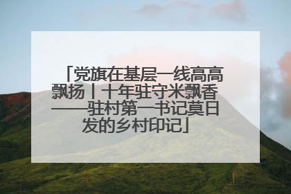 党旗在基层一线高高飘扬丨十年驻守米飘香——驻村第一书记莫日发的乡村印记