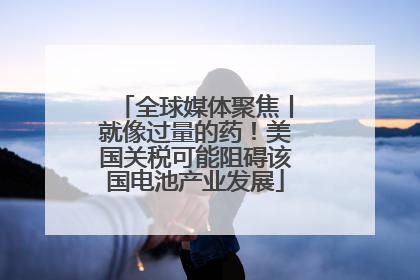 全球媒体聚焦丨就像过量的药！美国关税可能阻碍该国电池产业发展