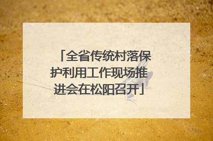 全省传统村落保护利用工作现场推进会在松阳召开