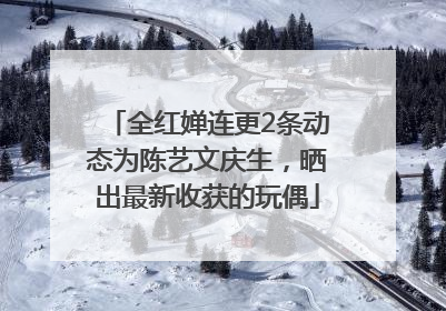 全红婵连更2条动态为陈艺文庆生，晒出最新收获的玩偶