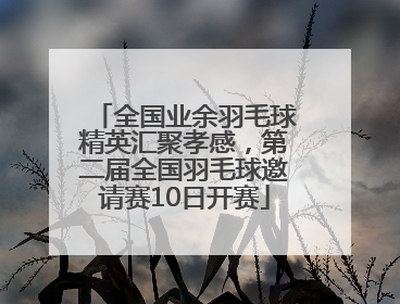 全国业余羽毛球精英汇聚孝感，第二届全国羽毛球邀请赛10日开赛