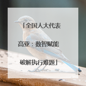 全国人大代表高亚：数智赋能破解执行难题