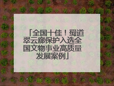 全国十佳！蜀道翠云廊保护入选全国文物事业高质量发展案例