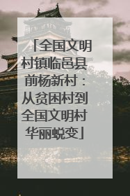 全国文明村镇临邑县前杨新村：从贫困村到全国文明村华丽蜕变